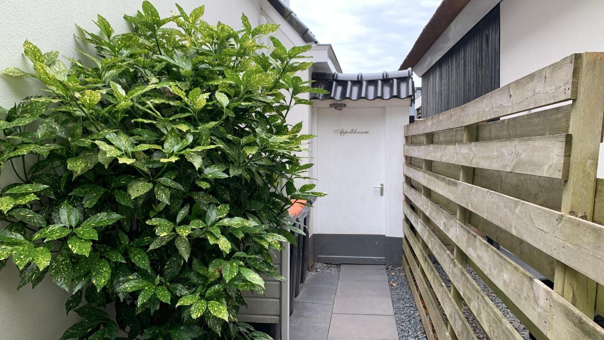 Appelbloesem Villa Bergen Eksteriør bilde